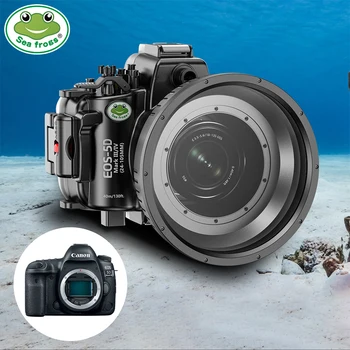 Морские лягушки, чехол для камеры для подводного плавания со 100-мм объективом для камеры Canon 5D Mark IV, корпус для оборудования для подводной съемки