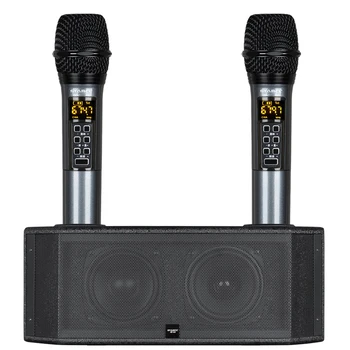 Портативная караоке-колонка STABCL ST-24, уличная беспроводная Bluetooth-колонка Activ с двумя микрофонами