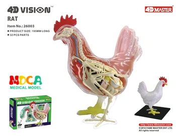 4D мастер-модель для обучения анатомии и медицине куриных органов купить по оптовым ценам