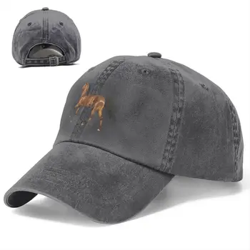 Однотонные шляпы для папы, Графическая женская шляпа, солнцезащитный козырек, бейсболки, кепка с козырьком для лошади и животных